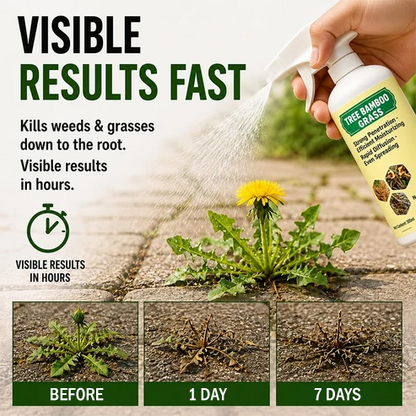Fast-Acting Natural Weed & Grass Killer Spra