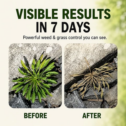 Fast-Acting Natural Weed & Grass Killer Spra
